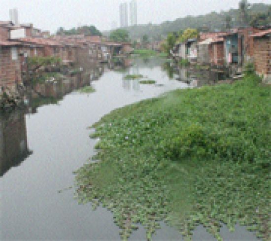 Programa Periferia Viva anuncia investimento de mais de R$ 149 milhões na urbanização das comunidades do Aratu e Jardim América Prefeitura de João Pessoa lança edital de mais de R$ 2.3 milhões para elaboração de estudos e projetos básicos para parque linear do Rio Jaguaribe