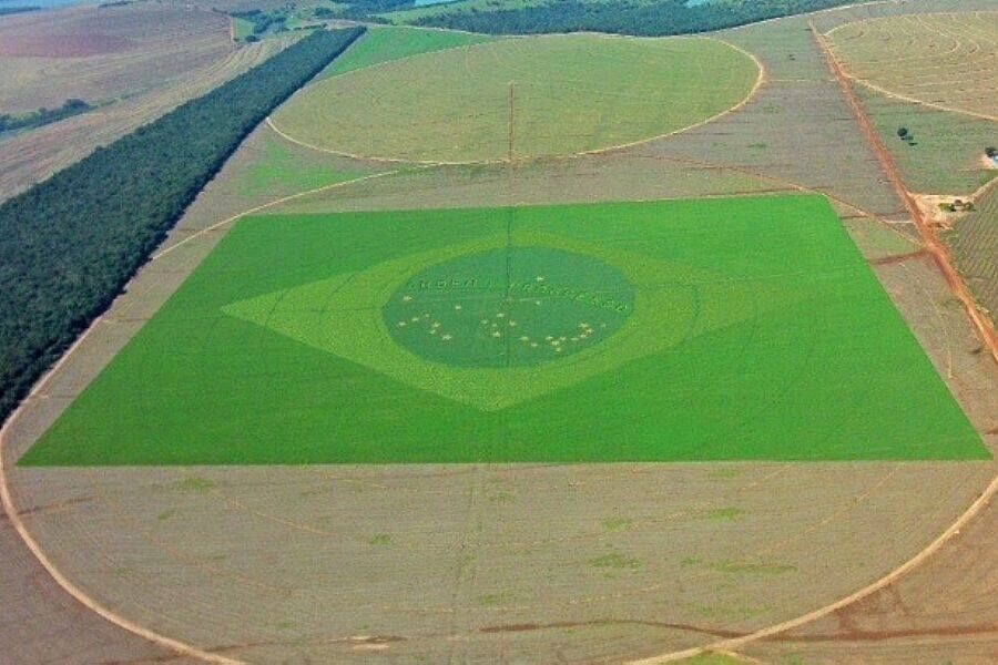 Bandeira brasileira em lavoura pode ser a maior do mundo Bandeira brasileira em lavoura pode ser a maior do mundo