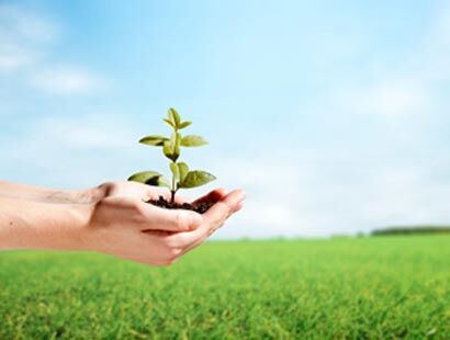 Paraíba abre inscrições em seleção com 73 vagas para professores de educação ambiental com remuneração de até R$ 2,4 mil