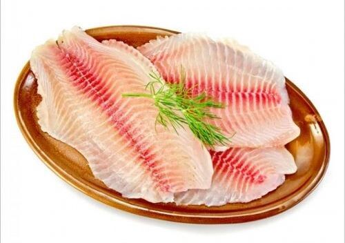 Pesquisadores da UFPB testam ração de mandioca para produzir filé de peixe com menos gordura​