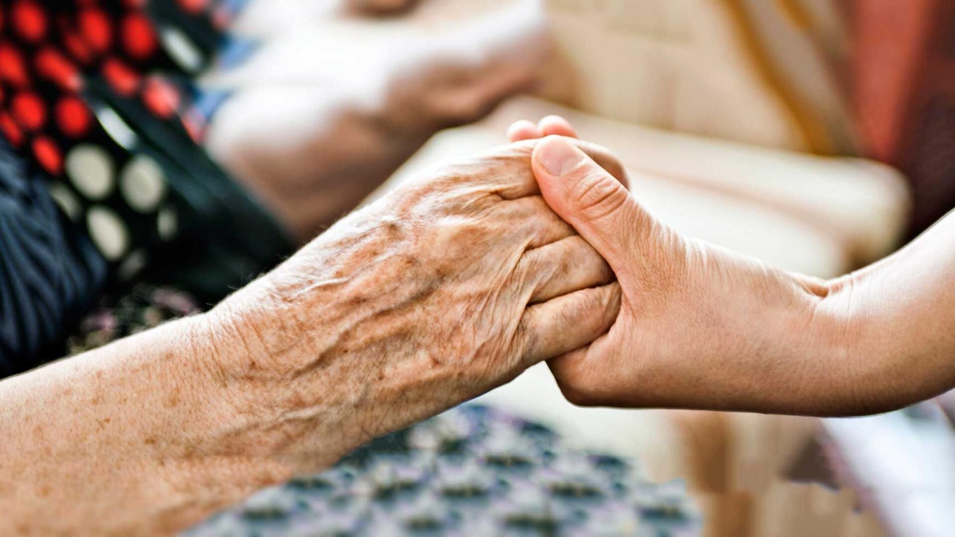 Após fluxo intenso de idosos em ônibus de CG, frota será suspensa a partir de sábado para evitar contágio do coronavírus Polícia Civil inicia Operação Virtude 2025 na Paraíba e investiga de violência contra pessoa idosa