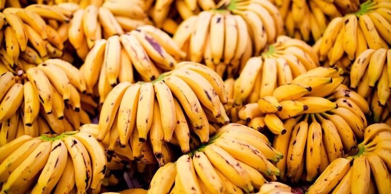 Preço da banana pacovan tem variação de 352,67% em supermercados e mercados públicos de João Pessoa Preço da banana pacovan tem variação de 352,67% em supermercados e mercados públicos de João Pessoa