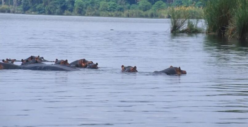 João Azevêdo e governadores do Nordeste discutem reforma da Previdência com o presidente do Senado