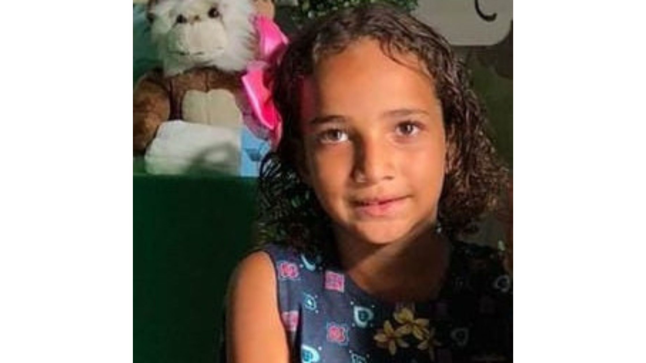 Mais de 500 pessoas já atuaram na força-tarefa para tentar encontrar Sophia, desaparecida há 11 dias Mais de 500 pessoas já atuaram na força-tarefa para tentar encontrar Sophia, desaparecida há 11 dias