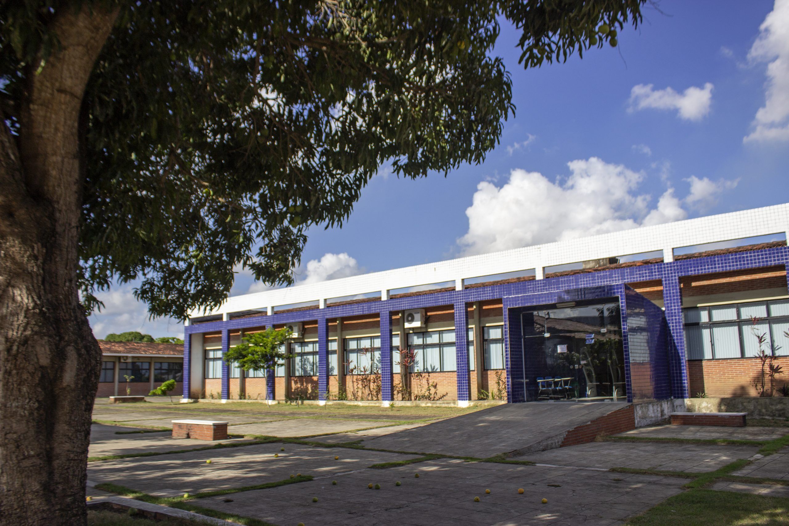 Eleições 2024: escolas e universidades que sediam locais de votação na Paraíba têm alterações nas aulas a partir de hoje universidade mamanguape