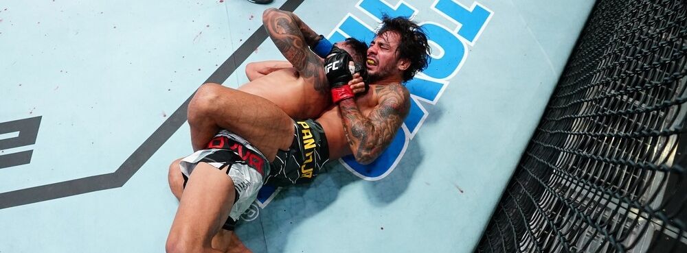 ClickJus: Decisão judicial nega pedido de youtuber a selo de verificação no Instagram