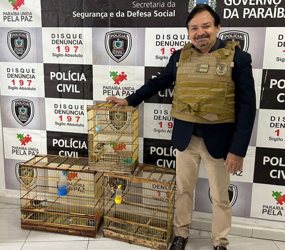 Polícia prende suspeito de tentativa de homicídio com arma e pássaros silvestres em Princesa Isabel; animais foram soltos Polícia prende suspeito de tentativa de homicídio com arma e pássaros silvestres em Princesa Isabel; animais foram soltos
