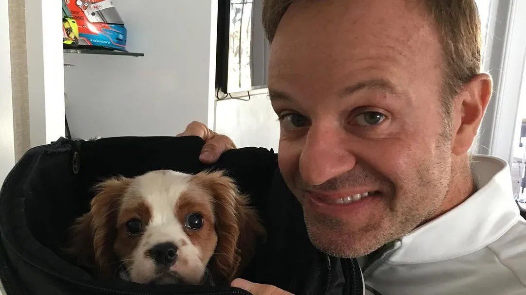 Barrichello, Rubens, Cachorro