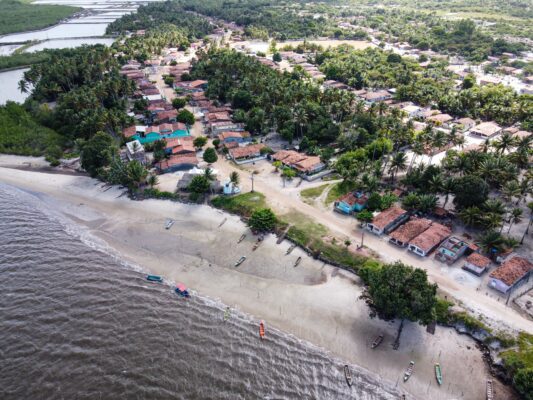 Árvore está em Área de Preservação Ambiental (APA), às margens do Rio Mamanguape.