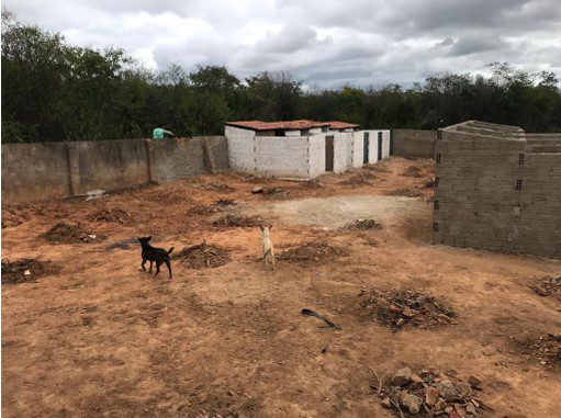 Abrigo, MPPB, Juru, Animais, Prefeitura