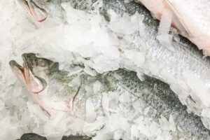 Distribuição de peixes em Pilar provoca surto de intoxicação alimentar e vigilância sanitária investiga situação Semana Santa: Sobrado lança licitação para comprar 7 toneladas de peixe para doação