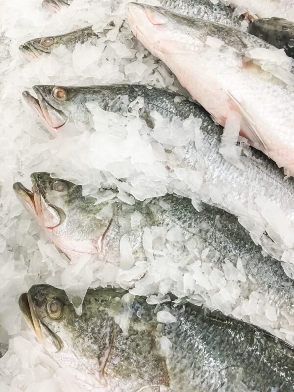 Moradores de Pilar reclamam da qualidade do peixe distribuído e buscam atendimento médico após intoxicação: "Peixe podre" Semana Santa: Sobrado lança licitação para comprar 7 toneladas de peixe para doação