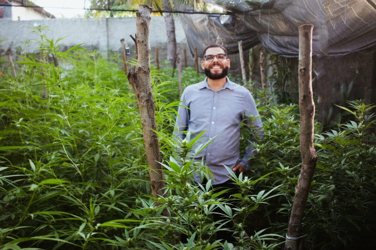 Justiça concede à associação em João Pessoa direito de cultivar cannabis para tratamento médico de 60 pessoas