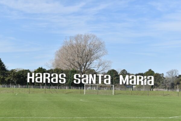 Condomínio 'Haras Santa Maria', em Escobar. (foto: divulgação/Haras Santa Maria)