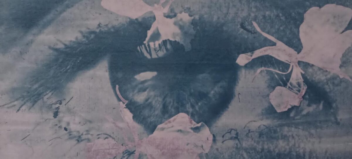 Exposição 'O tempo anda engavetado' mostra relação de artista com o mundo pós-pandemia, em João Pessoa