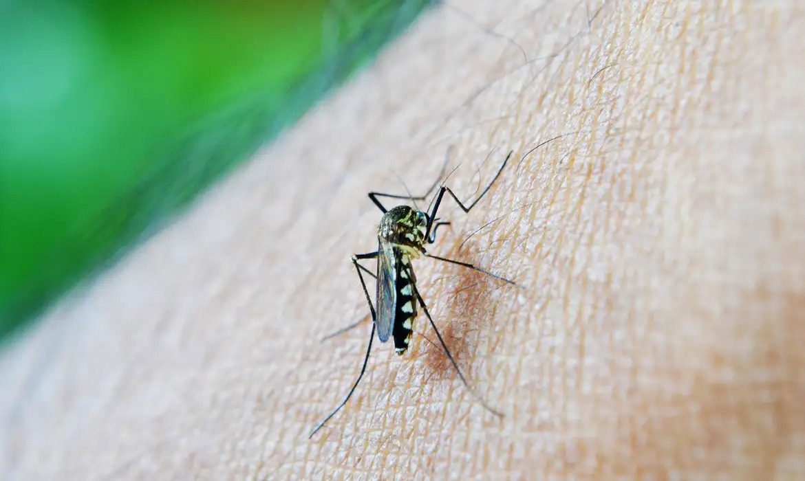 Paraíba registra quarta morte por dengue em 2024 Paraíba registra quarta morte por dengue em 2024