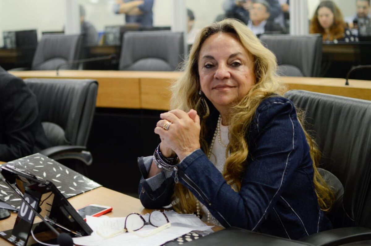 “Existem pessoas dentro do governo João que gostam de criar intriga”, dispara Doutora Paula Existem, Deputada, Doutora Paula, Chico Mendes