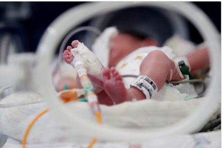 Brasil teve ao menos 31 bebês nascidos por dia de mães entre 8 e 14 anos nos últimos 5 meses Bebês, Nascidos