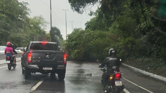 VÍDEO: árvore cai e deixa trânsito lento na BR-230, na Grande João Pessoa VÍDEO: árvore cai e deixa trânsito lento na BR-230, na Grande João Pessoa
