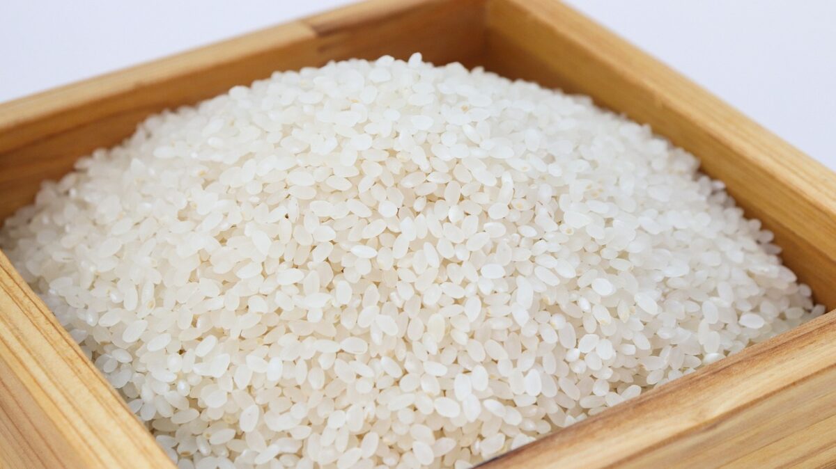 Lula suspende leilão do arroz após suspeita de irregularidade em empresas arroz