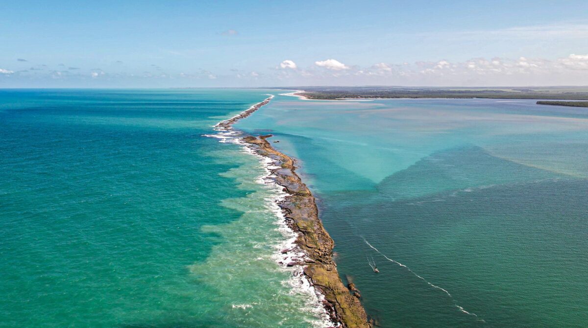 Branqueamento de corais é registrado na Área de Preservação Ambiental da Barra do Mamanguape Área de Proteção Ambiental (APA) da Barra do Mamanguape. (foto: Joaquim Neto/Acervo Pessoal)