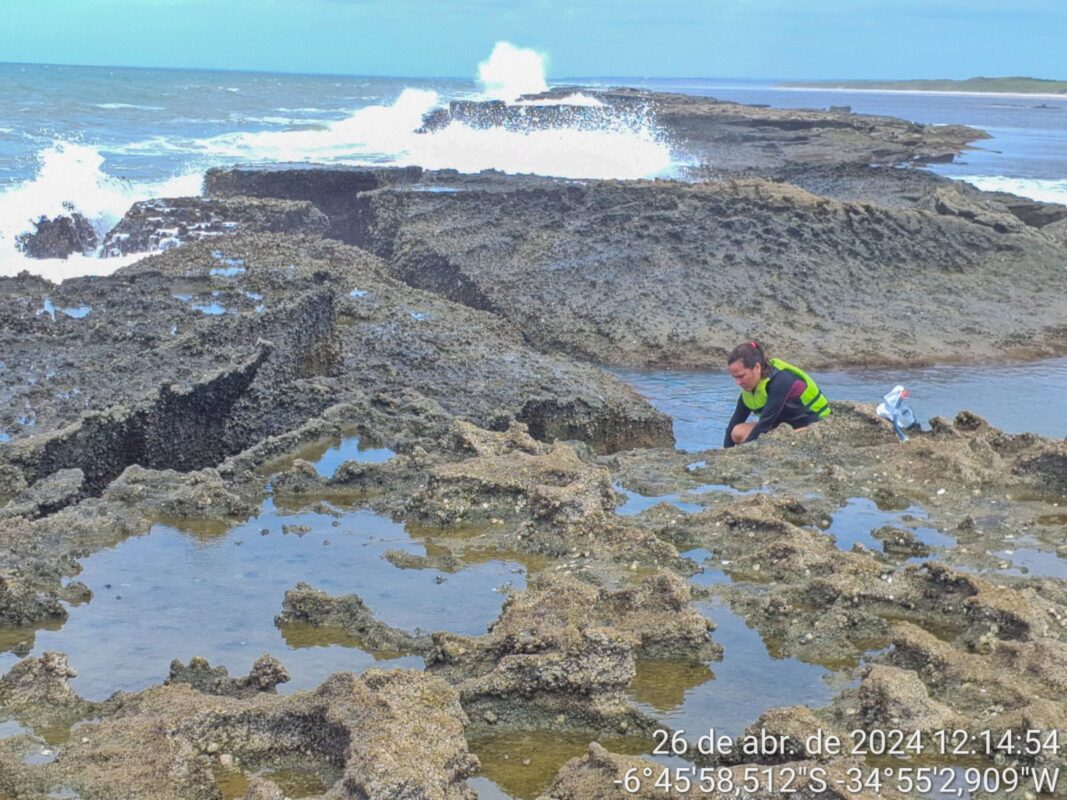 Branqueamento de corais é registrado na Área de Preservação Ambiental da Barra do Mamanguape
