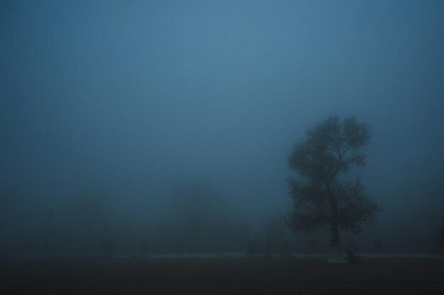 Cidade na Paraíba tem menor temperatura do ano e registra 12,6 ºC Cidade, Paraíba Nevoeiro. (foto: ilustração/Freepik) cidade paraíba
