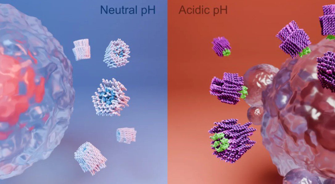 cientistas, nanorrobôs, matam, células cancerígenas