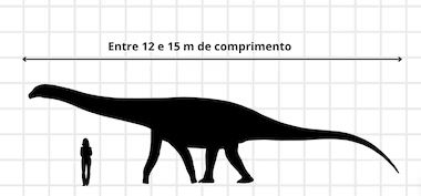 As pegadas de dinossauro encontradas pertencia ao grupo dos Titanosauriformes, também chamados de pescoçudos.