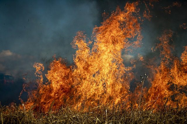 Incêndio e baixa umidade prejudicam o sistema respiratório; saiba como minimizar os impactos Incêndio e baixa umidade prejudicam o sistema respiratório