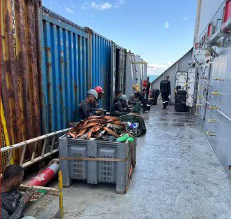 Trabalhadores são resgatados em condições análogas às de escravizados em navio de empresa norueguesa ancorado na Bahia Trabalhadores são resgatados em condições análogas às de escravizados