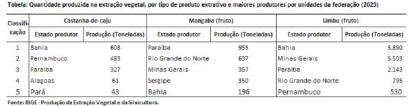 Paraíba é a maior produtora de mangaba do Brasil e a 3º colocada na produção de castanha de caju
