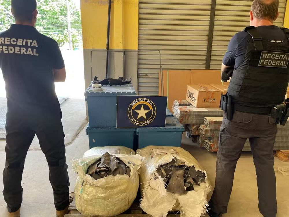 Receita Federal apreende 66kg de barbatanas de tubarões que seriam enviadas de João Pessoa para a China receita federal, apreensão, barbatanas, tubarões
