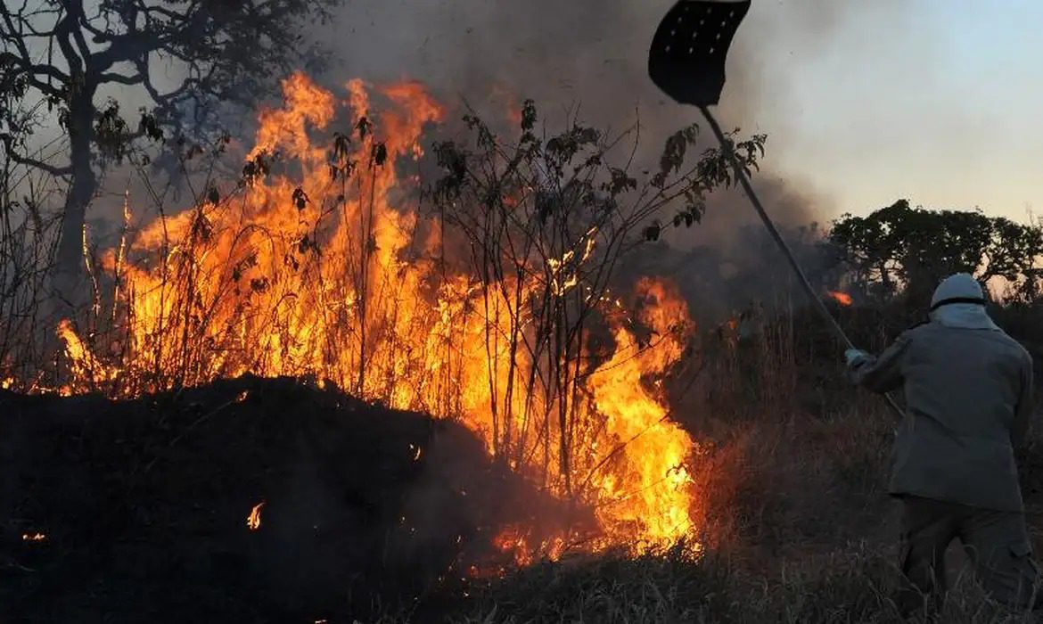 Brasil concentra mais de 70% das queimadas na América do Sul nas últimas 48h queimadas Brasil Paraíba