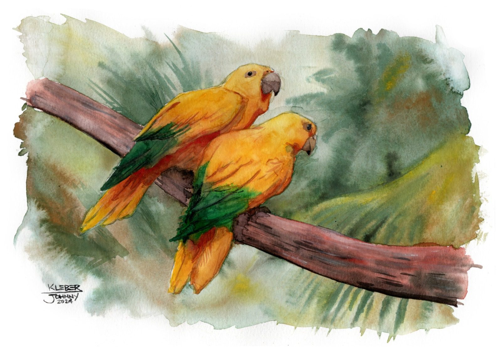 coletiva, aquarelas, aves do brasil