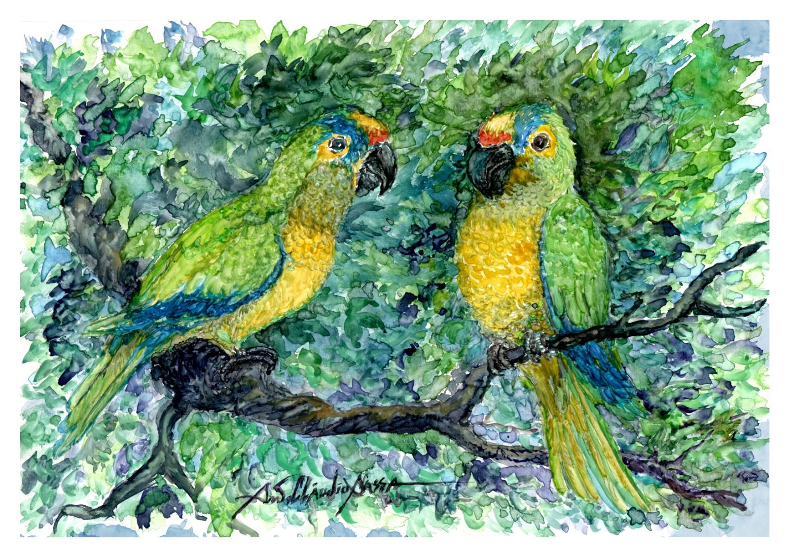 coletiva, aquarelas, aves do brasil