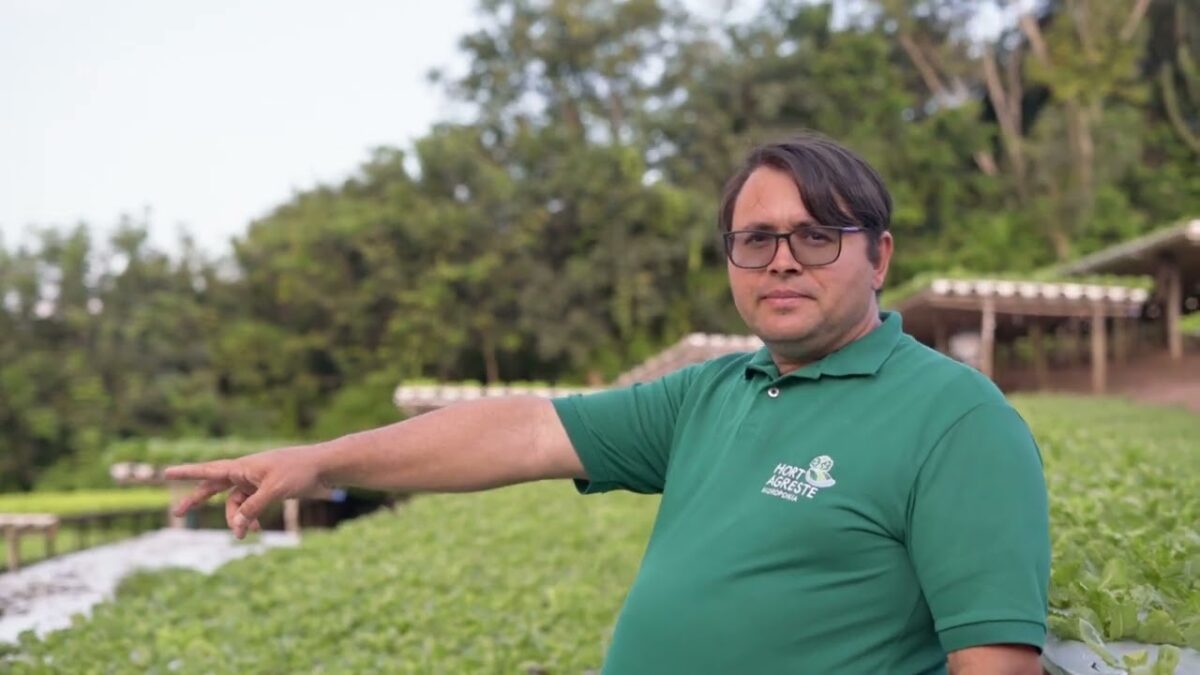 Justiça decreta prisão e bloqueio das contas de acusados de aplicar ‘golpe da hidroponia’ na Paraíba justiça, prisão, golpe da hidroponia
