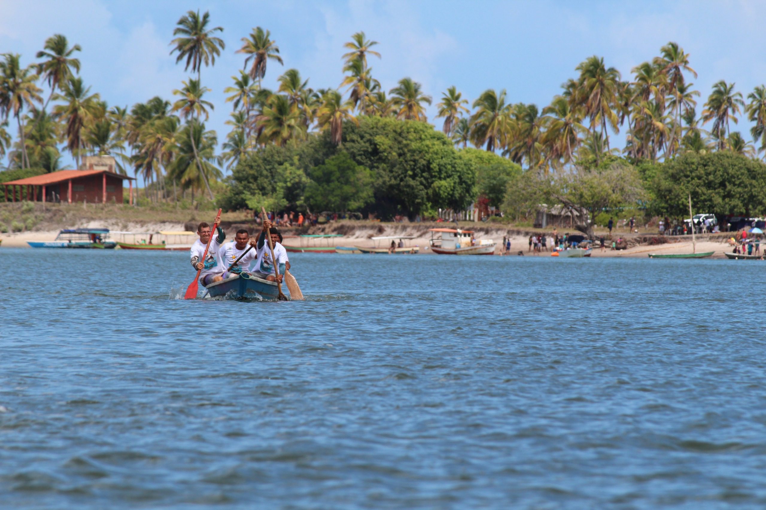 Forr Do Peixe Boi Anima Barra Do Mamanguape Com Shows Eventos 