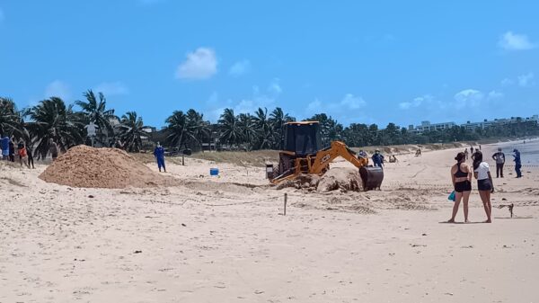 Animal foi enterrado na praia