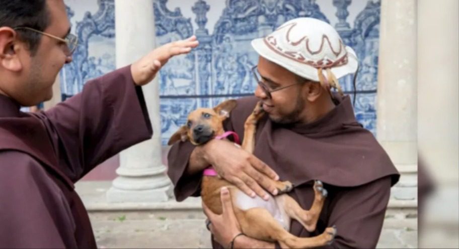 Dia de São Francisco é celebrado com bênção de animais em várias igrejas e capelas de João Pessoa; confira programação Dia de São Francisco é celebrado com bênção de animais em várias igrejas e capelas de João Pessoa; confira programação