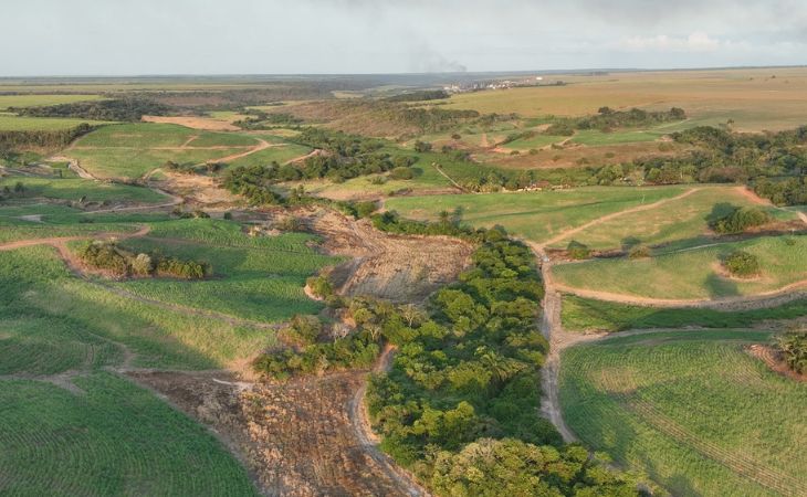Cinco municípios da Paraíba são flagrados com desmatamento e fiscalização aplica mais de R$ 600 mil em multas Cinco municípios da Paraíba são flagrados com desmatamento e fiscalização aplica mais de R$ 600 mil em multas