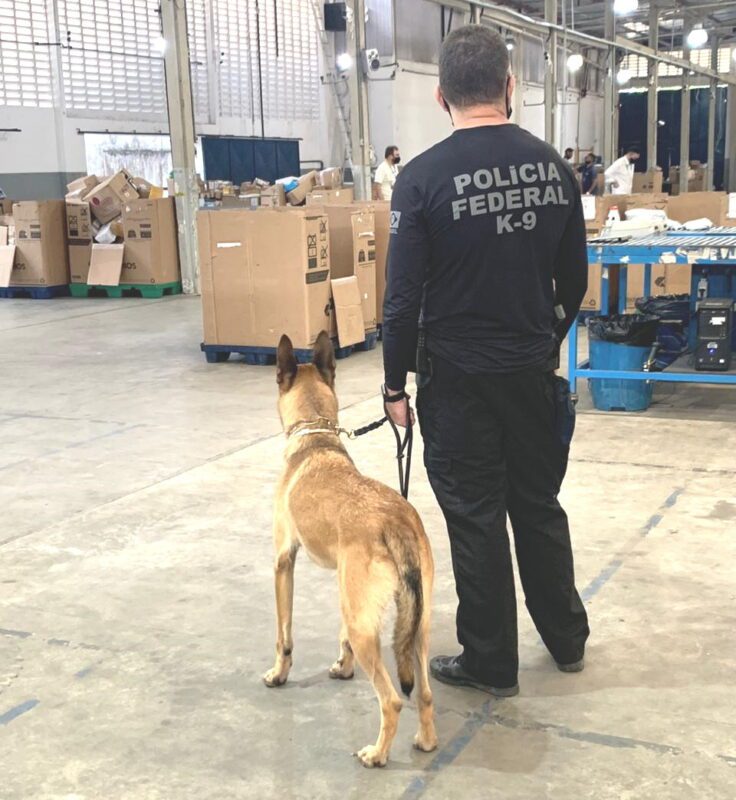 Com cães farejadores, Polícia Federal apreende porções de maconha e haxixe enviadas via Correios para Natal Com cães farejadores, Polícia Federal apreende porções de maconha e haxixe enviadas via Correios para Natal