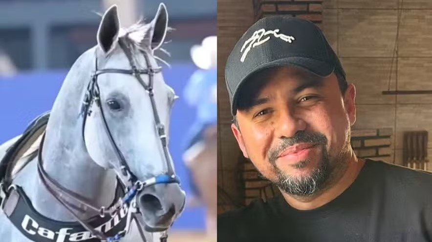 Xand Avião compra égua avaliada em R$ 17 milhões em leilão de Wesley Safadão na Paraíba xand avião, égua, leilão