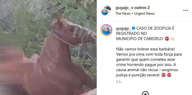 zoofilia, cabedelo, cavalo