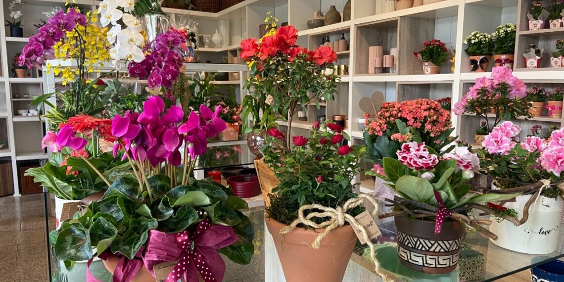 Dia de Finados: pesquisa mostra variação de até 400% no preço de flores em Campina Grande Dia de Finados: pesquisa mostra variação de até 400% no preço de flores em Campina Grande