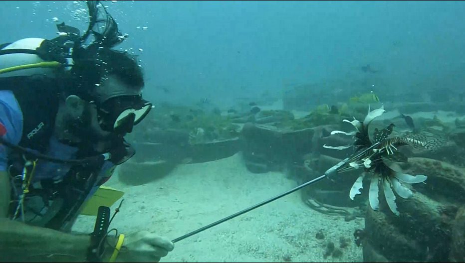 Peixe-leão continua presente no litoral da Paraíba e Sudema monitora ocorrências em busca de controle populacional Peixe-leão é capturado em expedição aquática no litoral da Paraíba. Foto: Sudema
