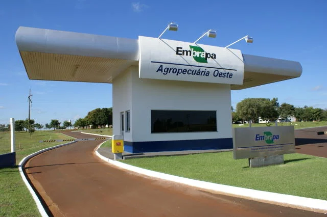Embrapa publica edital com salários de até R$ 12 mil; veja como participar Embrapa publica edital com salários de até R$ 12 mil; veja como participar