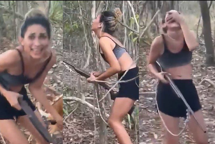 Ibama identifica e multa mulher de vídeo viral que mata onça-parda Ibama identifica e multa mulher de vídeo viral que mata onça-parda