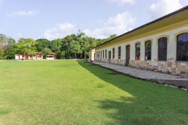 Caminhada interativa apresenta plantas nativas para crianças a partir de 5 anos neste sábado em João Pessoa