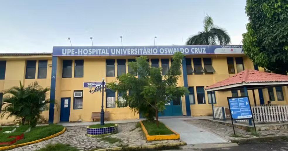 Mulher contrai raiva humana após ser mordida por sagui em Pernambuco; caso é o primeiro confirmado no estado em oito anos mulher, raiva, pernambuco